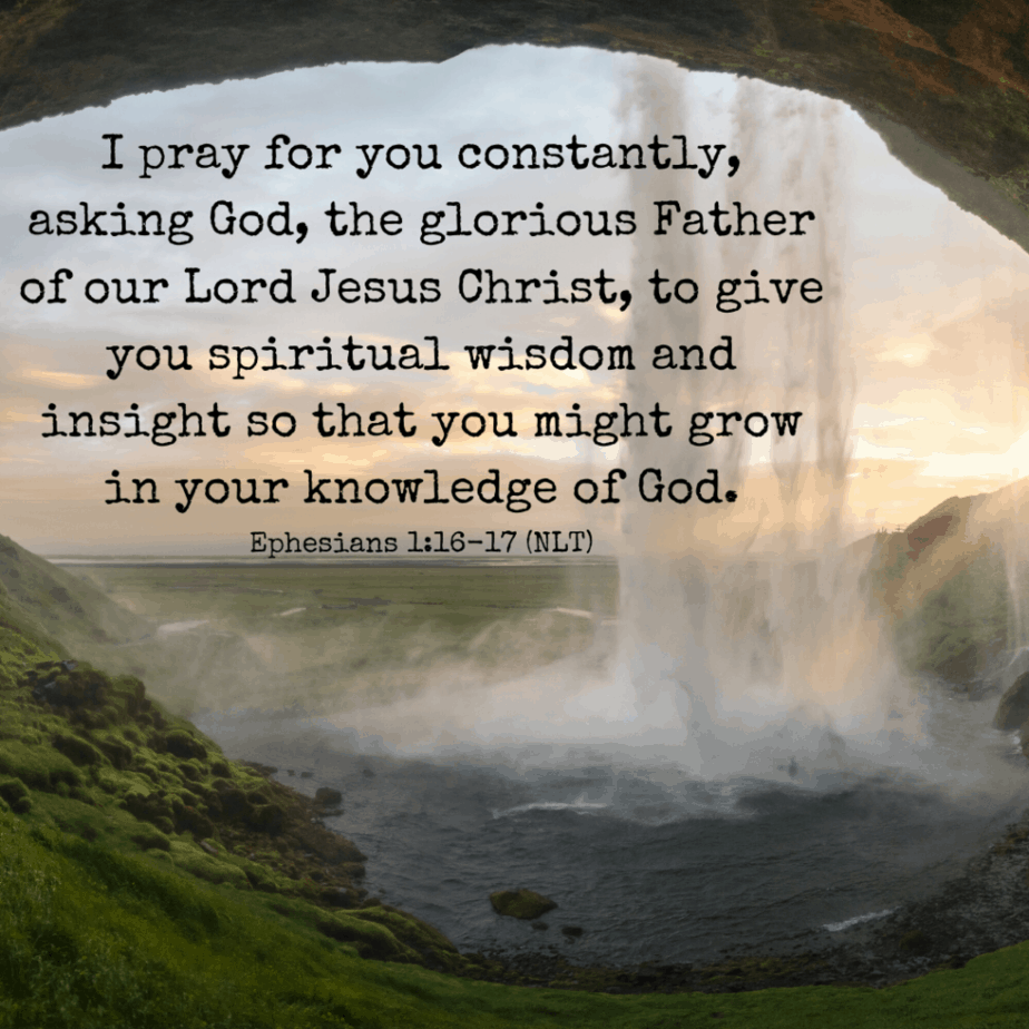 I pray for you constantly, asking God, the glorious Faith of our Lord Jesus Christ, to give you spiritual wisdom and insight sot hat you might grow in your knowledge of God (Ephesians 1:16-17 NLT).
