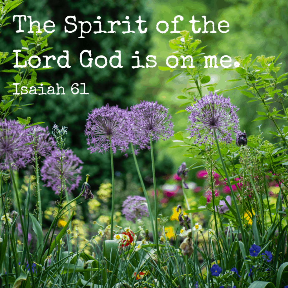 The Spirit of the Lord God is on me. Isaiah 61